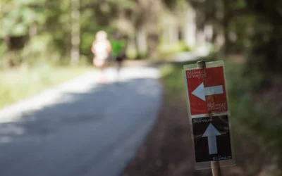 Drsný běh okolo hradu Potštejn 2019