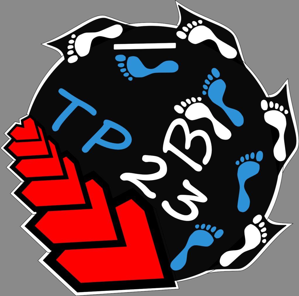3D_TP23